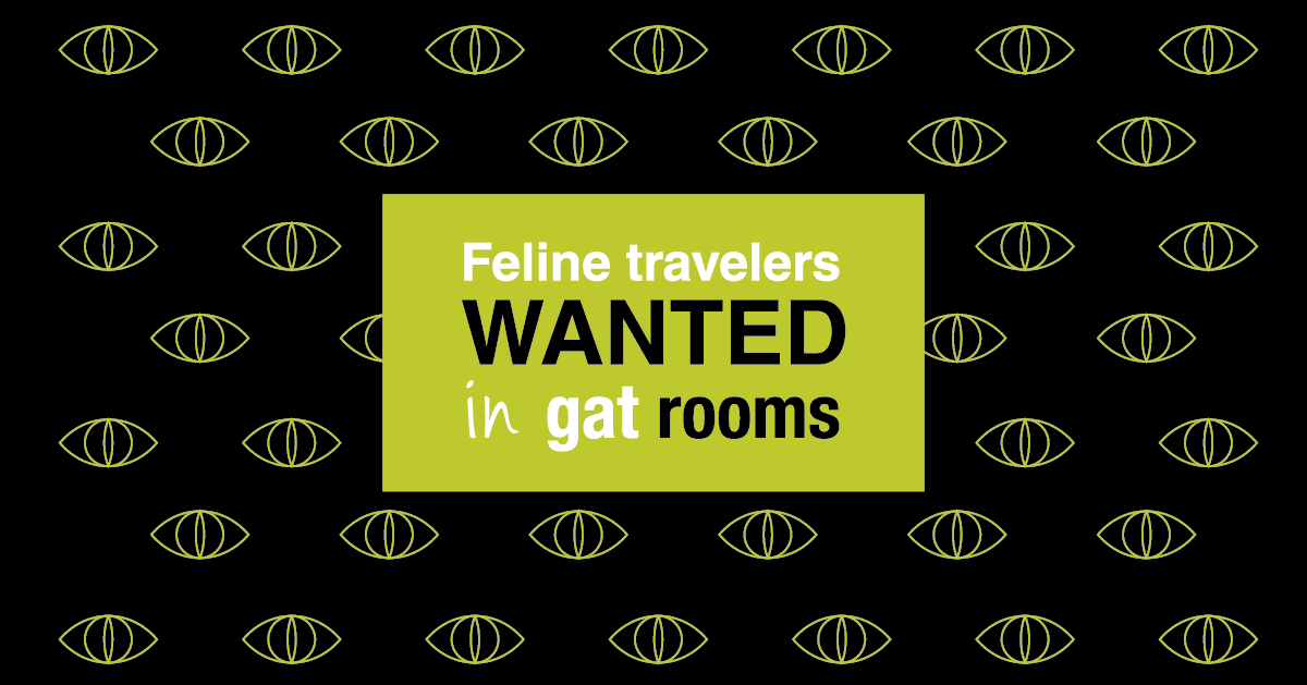 Feline travelers wanted